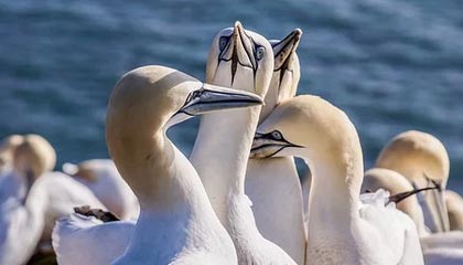 武义县最新公积金卡提取现金操作及规定方法分析(最方便真实的武义县公积金卡提取现金操作及规定是什么方法)